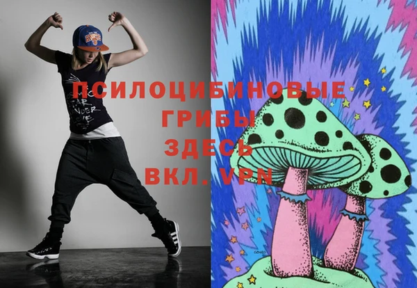 a pvp Арсеньев