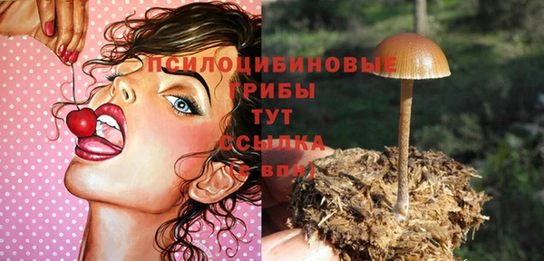 a pvp Арсеньев